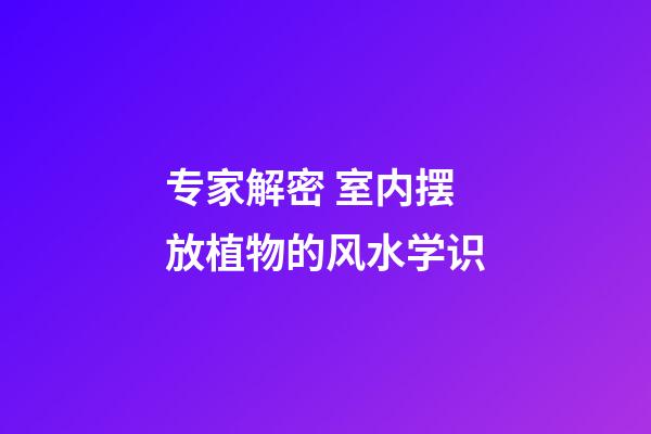 专家解密 室内摆放植物的风水学识